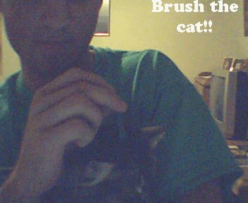 Kitten Brusher