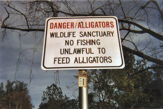 Danger - Do Not Feed Alligators