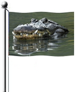 Razor Gator Flag